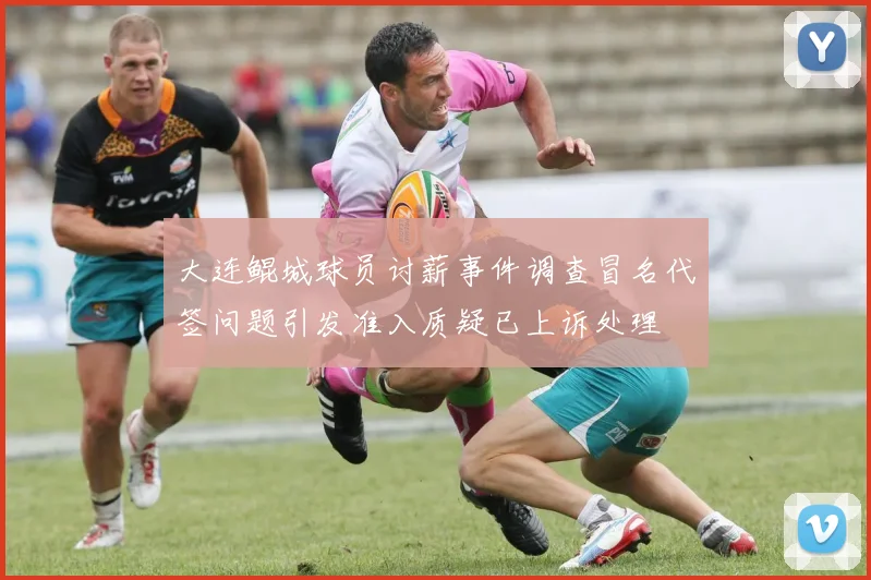 大连鲲城球员讨薪事件调查冒名代签问题引发准入质疑已上诉处理
