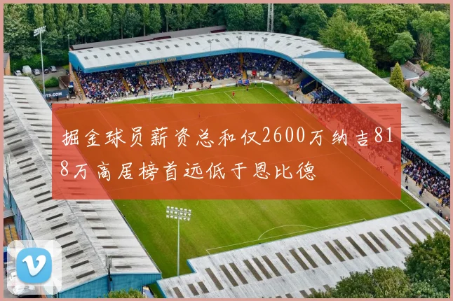 掘金球员薪资总和仅2600万纳吉818万高居榜首远低于恩比德